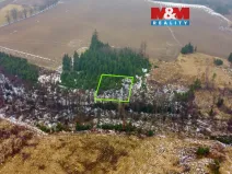 Prodej lesa, Česká Bělá, 1126 m2