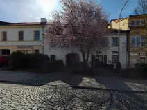 Pronájem kanceláře, Písek, Gregorova, 29 m2