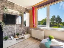 Prodej bytu 1+1, Mladošovice, 40 m2