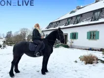 Prodej rodinného domu, Rozvadov - Svatá Kateřina, 650 m2