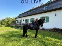 Prodej rodinného domu, Rozvadov - Svatá Kateřina, 650 m2