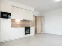 Pronájem bytu 1+kk, Heřmanova Huť, U Pondu, 34 m2