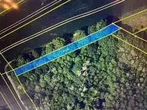 Prodej lesa, Březolupy, 910 m2