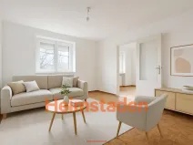 Pronájem bytu 1+1, Hlučín, Severní, 28 m2