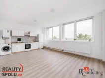 Pronájem bytu 1+kk, Mlékojedy, 47 m2
