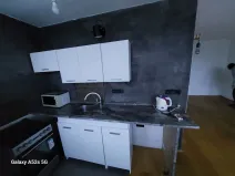 Pronájem bytu 1+1, Most, Josefa Suka, 40 m2