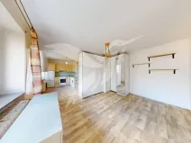 Prodej bytu 1+kk, Plzeň, Kyjevská, 30 m2