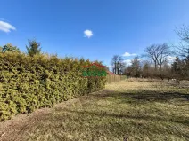 Prodej zahrady, Počedělice - Orasice, 582 m2