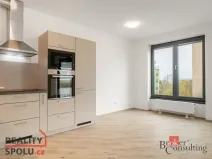 Pronájem bytu 2+kk, Plzeň - Jižní Předměstí, Železná, 52 m2