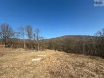 Prodej pozemku pro bydlení, Lom - Loučná, Tyršova stezka, 2648 m2