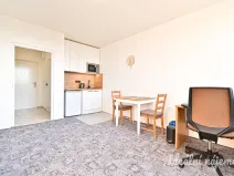 Pronájem bytu 1+kk, Brno, Halasovo náměstí, 23 m2