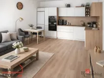 Pronájem bytu 2+kk, Plzeň - Východní Předměstí, Sladová, 55 m2