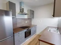 Pronájem bytu 3+kk, Šaratice, Náves, 45 m2