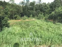 Prodej pozemku, Ostrava - Slezská Ostrava, Michalská, 2800 m2