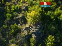 Prodej lesa, Lomnice, 7450 m2