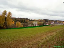 Prodej pole, Včelnička, 1389 m2