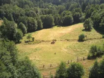 Prodej pozemku pro bydlení, Olešnice v Orlických horách, 3027 m2