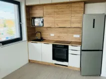 Pronájem bytu 1+kk, Plzeň - Východní Předměstí, Kartónová, 30 m2