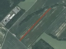 Prodej pole, Velká Polom, 11780 m2