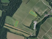 Prodej sadu/vinice, Bulhary, 30390 m2