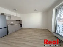 Pronájem bytu 1+kk, Brno - Horní Heršpice, Jižní, 38 m2