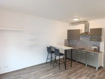 Pronájem bytu 1+kk, Praha - Vysočany, Strnadových, 34 m2
