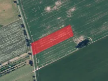 Prodej pole, Žerotín, 16930 m2