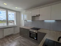 Pronájem bytu 3+1, Most, Růžová, 56 m2