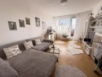 Prodej bytu 2+1, Brno - Lesná, Slavíčkova, 61 m2