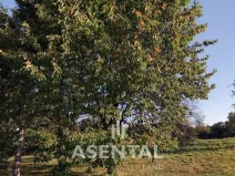 Prodej pozemku, Doubrava, 3945 m2