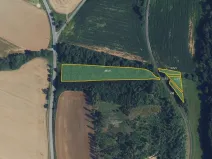 Prodej lesa, Městečko Trnávka, 9935 m2