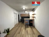 Pronájem bytu 1+kk, Milevsko, Masarykova, 30 m2