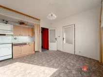 Prodej bytu 1+1, Litvínov - Horní Litvínov, Tylova, 36 m2