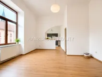 Pronájem bytu 1+1, České Budějovice - České Budějovice 6, Žižkova tř., 47 m2