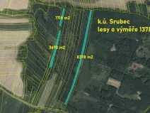 Prodej lesa, Srubec, Ledenická-Škarda, 13783 m2