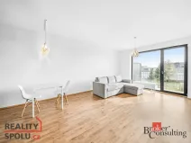 Pronájem bytu 2+kk, Plzeň - Jižní Předměstí, Železná, 60 m2