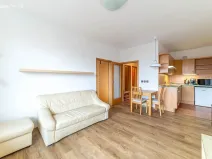 Pronájem bytu 2+kk, Brno - Staré Brno, Bezručova, 49 m2
