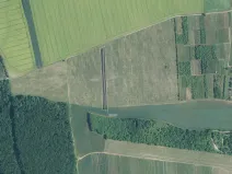 Prodej louky, Brumovice, 9612 m2