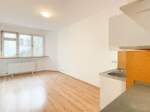 Pronájem bytu 1+kk, Praha - Vinohrady, Římská, 25 m2
