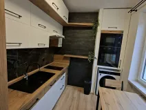 Pronájem bytu 1+1, Olomouc, Wolkerova, 39 m2