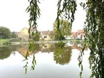 Prodej chalupy, Sedlice, 80 m2