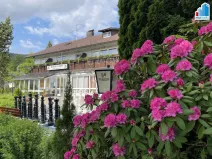 Prodej ubytování, Železná Ruda - Alžbětín, 2455 m2