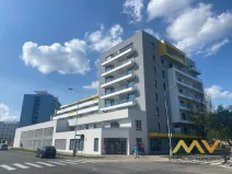 Pronájem garážového stání, Hradec Králové - Slezské Předměstí, Kubelíkova, 12 m2