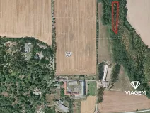 Prodej podílu lesa, Stěbořice, 1852 m2