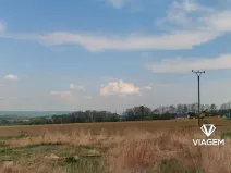 Prodej podílu pole, Skuhrov, 2180 m2