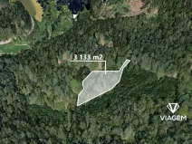 Prodej podílu lesa, Petráveč, 609 m2