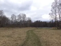 Prodej pozemku, Chlum u Třeboně - Lutová, 6727 m2