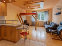 Pronájem bytu 1+kk, Štěnovice, Skalní, 40 m2