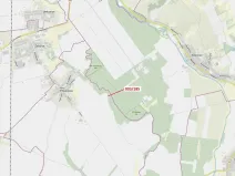 Dražba lesa, Přísnotice, 31 m2