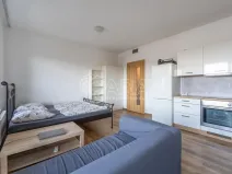 Pronájem bytu 1+kk, Brno - Židenice, Koperníkova, 35 m2